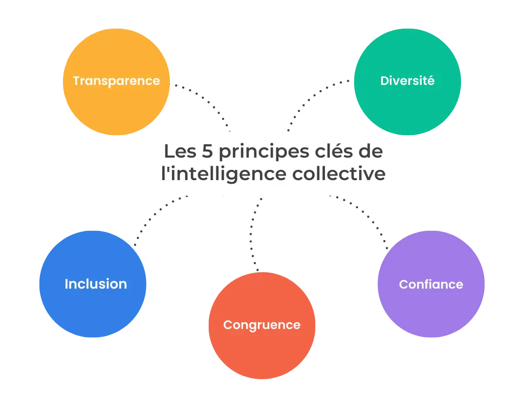 Intelligence Collective les 5C